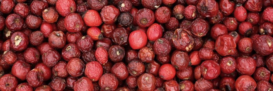 ローズヒップの画像