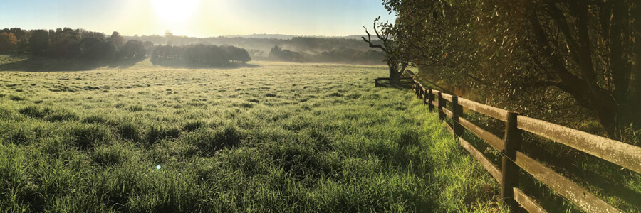 農場の草原の画像